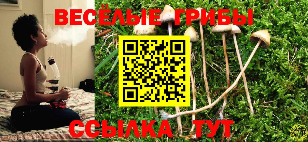 Псилоцибиновые грибы GOLDEN TEACHER Кудрово